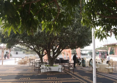 Wedding Venue
